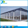 hot sell UV protected Lexan greenhouse solid polycarbonate sheet